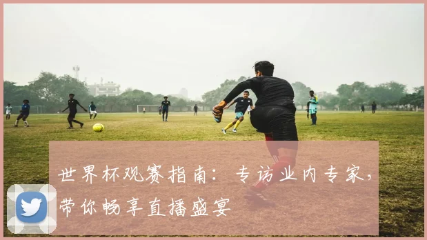 世界杯观赛指南:专访业内专家,带你畅享直播盛宴